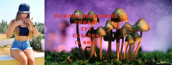 Альфа ПВП Богданович