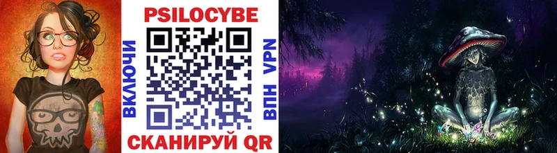где можно купить   Муравленко  Галлюциногенные грибы Psilocybine cubensis 